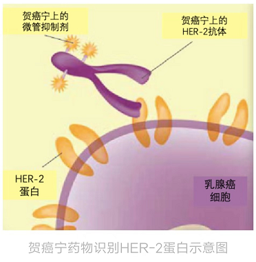 微信图片_20190904105739.png